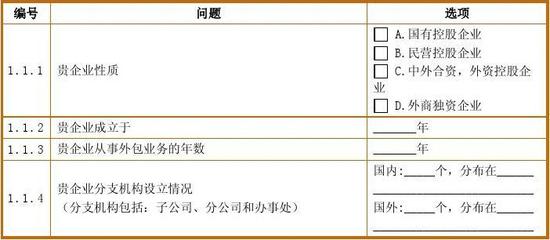 软件与信息服务外包 现代企业的战略选择