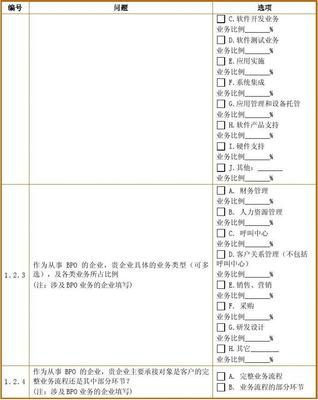 软件与信息服务外包 推动企业数字化转型的关键力量